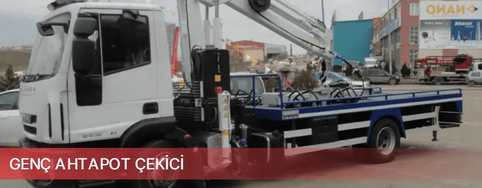 Genç İlçemi Ahtapot Çekici